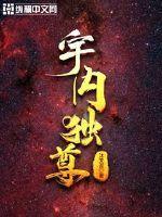 星宇独尊