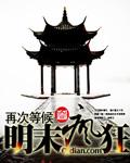 明末疯狂打天下全文免费阅读