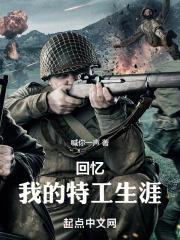 我的特务生涯书籍