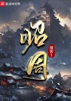 昭周几个女主