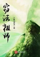 窃法祖师 小胖会武术