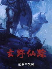 鼎野仙踪茶叶