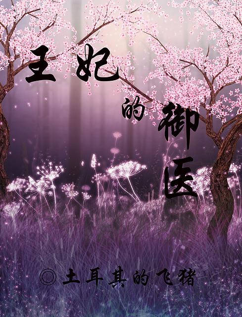 王妃的御医免费阅读