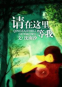 请在这里等我 沈南汐晋江