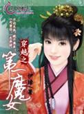 穿越之第一王妃免费阅读