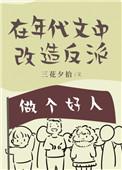 在年代文中改装反派