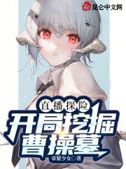 从曹操墓开始的直播探险卡夜阁
