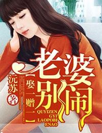 娶一赠一老婆别闹了免费阅读