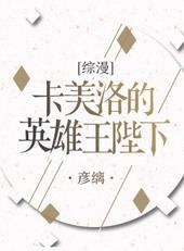 卡美洛 攻略