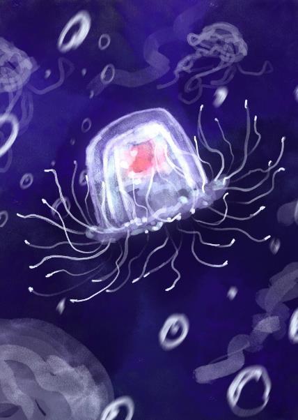 水母海底小纵队