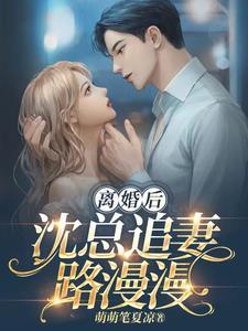 离婚后总裁追妻火葬场了