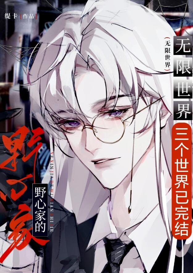 当野心家进入无限世界无防盗