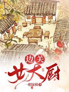边关小厨娘无弹窗