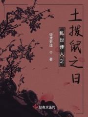 乱世佳人解说