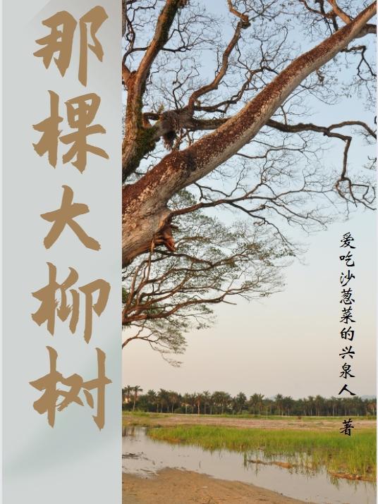 大柳树下怎么样