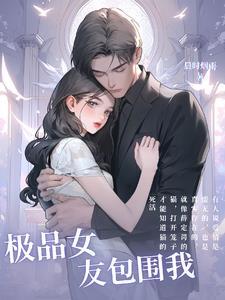 我的极品女友们深度解析