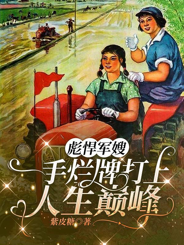一手烂牌打上人生巅峰txt