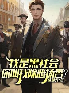 我是黑社会麦词