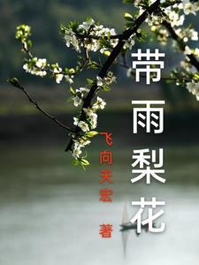 带雨梨花 长篇