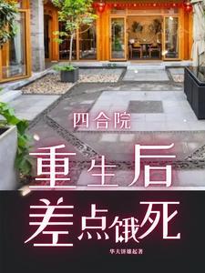重生四合院棒梗