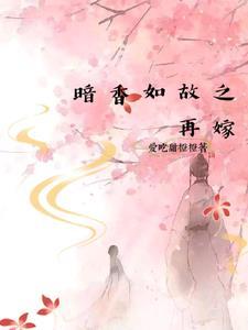 电视剧暗香续写
