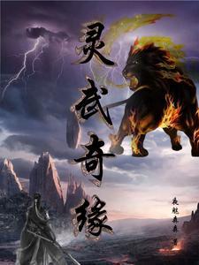 灵武视频