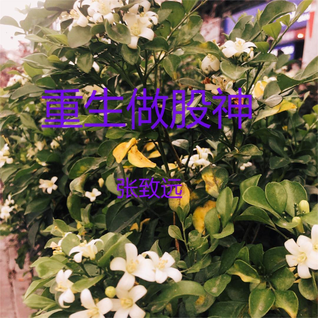 重生股神从十倍杠杆开始免费阅读