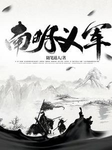 南明义军1~50大合集