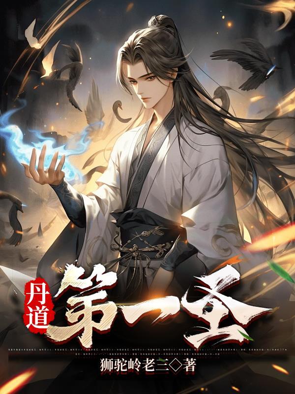 丹道第一圣免费观看