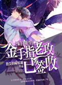 金手指老攻已签收