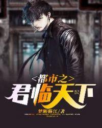 都市之君临天下一枝轩书海阁