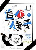 追个锤子55