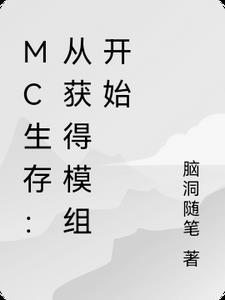 我的世界生存模组
