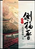重生侧福晋青莲空间作者伊带水