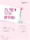 九爷 宠妻请节制 诺久一