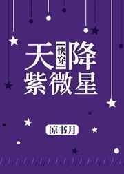 天降紫微星饭圈什么意思
