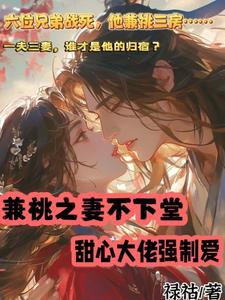平妻