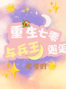 重生七十年代兵团