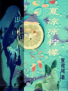 夏檬沈凉时