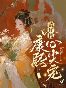 清穿康熙宠