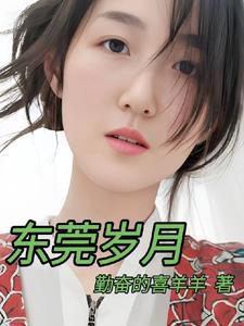 东莞岁月原著
