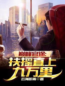 巅峰官路笔趣阁
