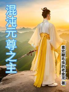 第章混沌元胎