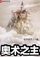 奥术之主精校版