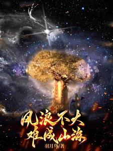 风浪不会停息