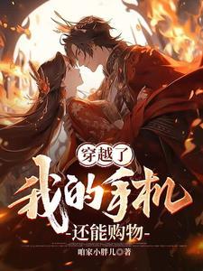 我的手机可能穿越了txt