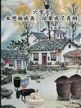 六零咸鱼小