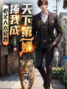 天下第一上门女婿