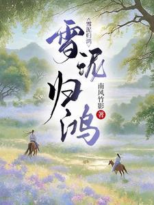 雪泥鸿爪打一个正确生肖