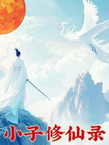 山村小子修仙传手机
